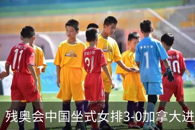 残奥会中国坐式女排3-0加拿大进决赛 与美国争冠